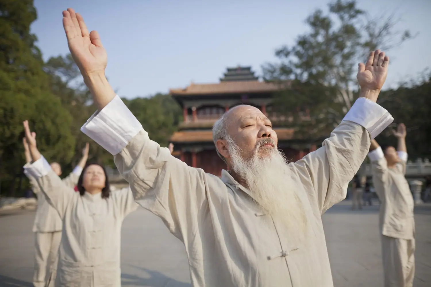 Tai Chi i Qigong - ćwiczenia dla seniorów