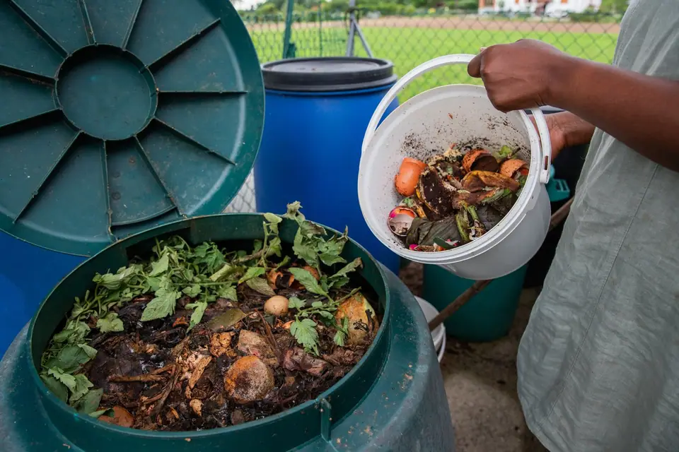 Kompostowanie na balkonie – miejskie rozwiązania zero waste
