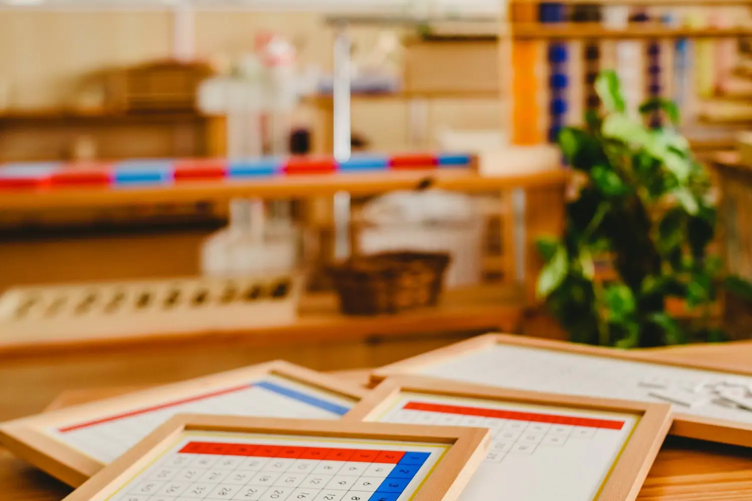 Jak wybrać idealne przedszkole Montessori dla Twojego dziecka we Wrocławiu